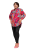 8334_3.png